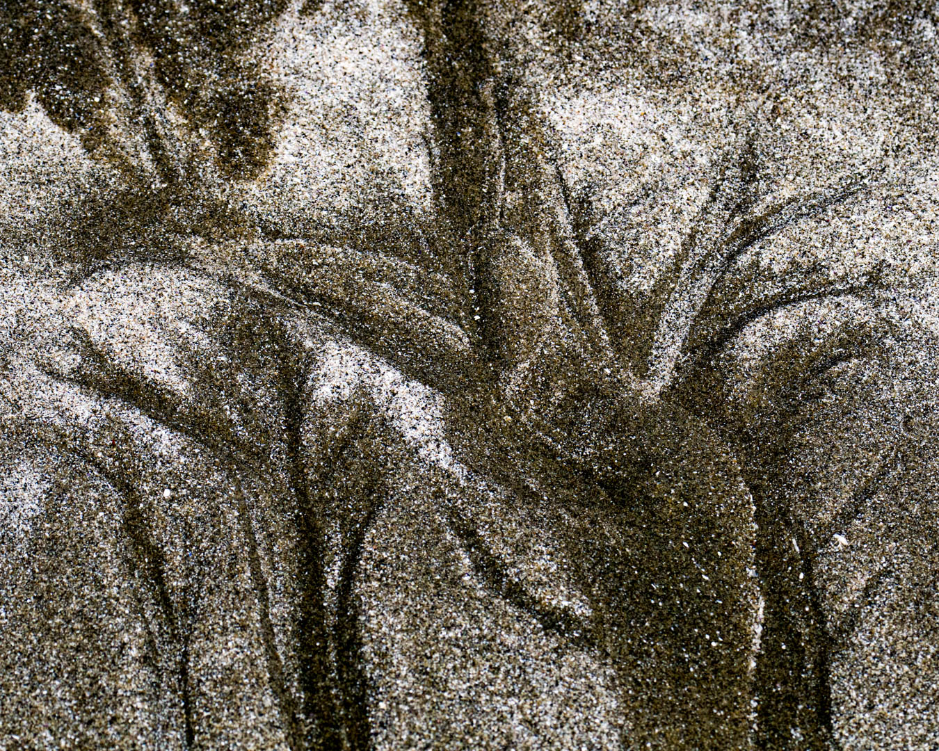 A close up image of sand particles being moved like large rivers eroding the landscape