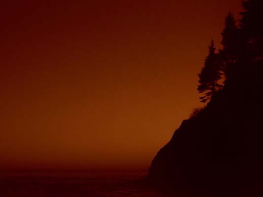 Dan Abraham - Dusk on the West Coast Trail