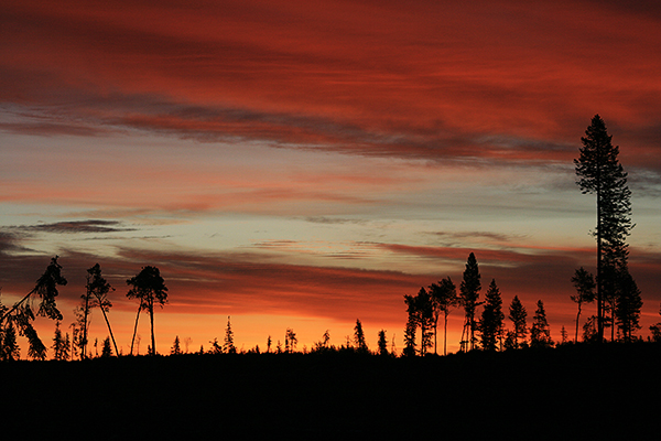 Photo of the Month - September 2008